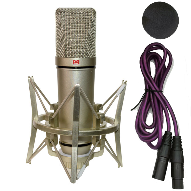 Professionele Condensator Micr - Shure Mic Sm58 recensie en prijs